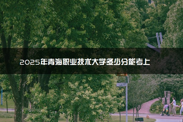 2025年青海职业技术大学多少分能考上 最低分及位次