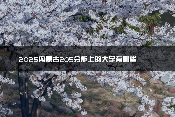 2025内蒙古205分能上的大学有哪些 可以报考院校名单