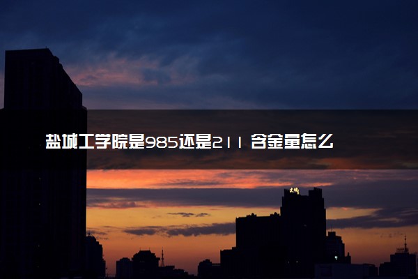 盐城工学院是985还是211 含金量怎么样