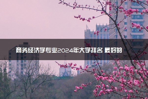 商务经济学专业2024年大学排名 最好的大学排行榜