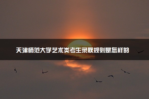 天津师范大学艺术类考生录取规则是怎样的 有哪些要求