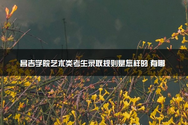 昌吉学院艺术类考生录取规则是怎样的 有哪些要求