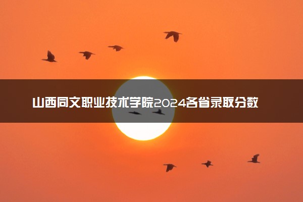 山西同文职业技术学院2024各省录取分数线及最低位次是多少