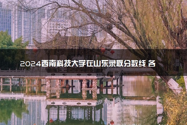 2024西南科技大学在山东录取分数线 各专业分数及位次