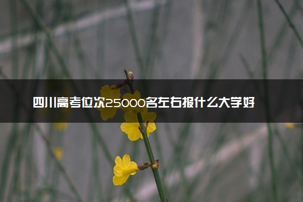 四川高考位次25000名左右报什么大学好（2025年参考）