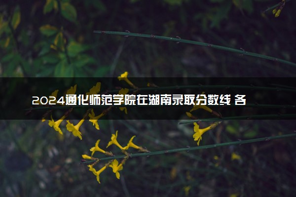 2024通化师范学院在湖南录取分数线 各专业分数及位次