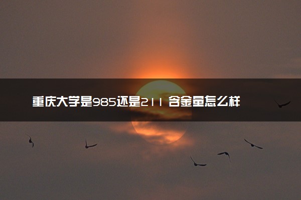 重庆大学是985还是211 含金量怎么样