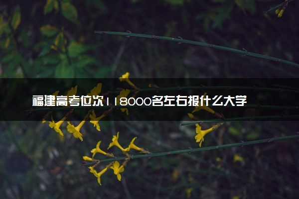 福建高考位次118000名左右报什么大学好（2025年参考）