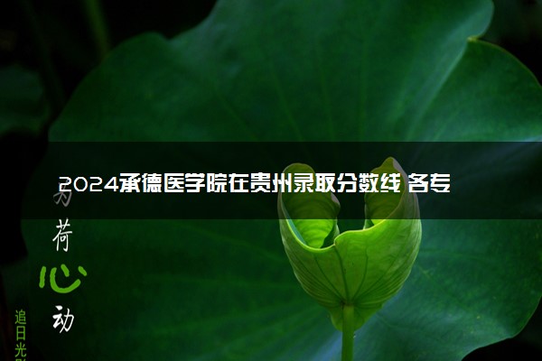 2024承德医学院在贵州录取分数线 各专业分数及位次