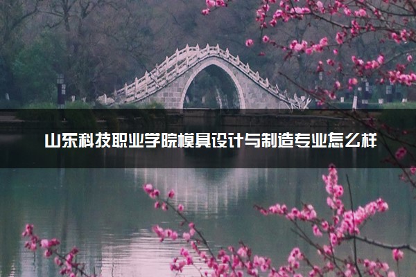 山东科技职业学院模具设计与制造专业怎么样 录取分数线多少
