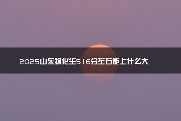 2025山东物化生516分左右能上什么大学 可以报考的院校名单