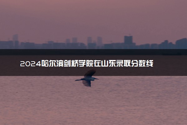 2024哈尔滨剑桥学院在山东录取分数线 各专业分数及位次