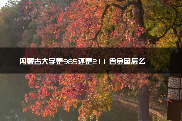 内蒙古大学是985还是211 含金量怎么样