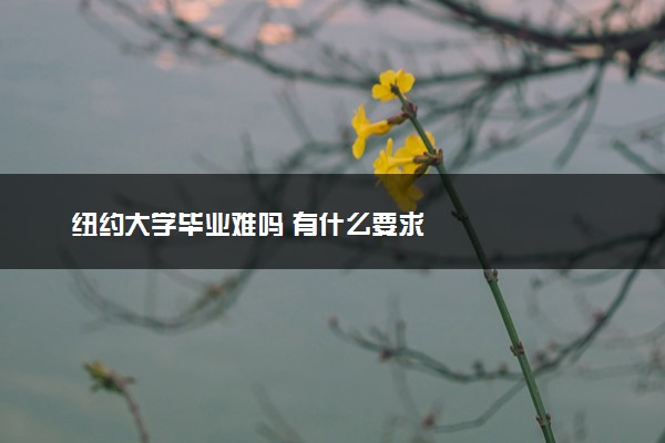 纽约大学毕业难吗 有什么要求