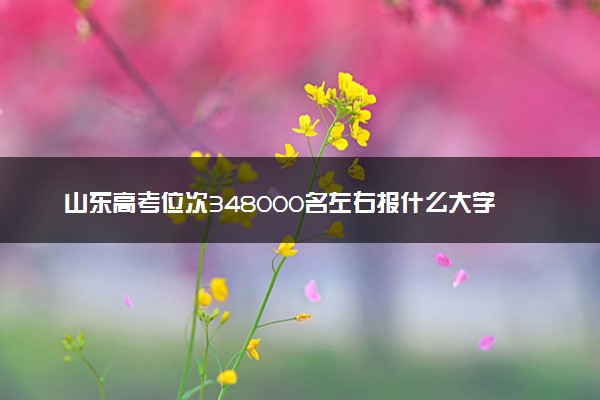 山东高考位次348000名左右报什么大学好（2025年参考）