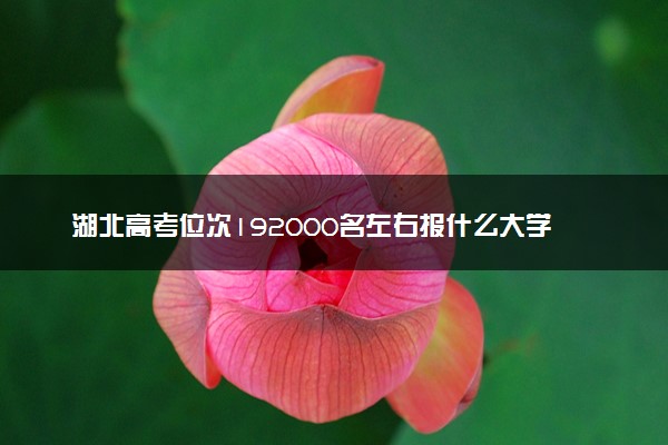 湖北高考位次192000名左右报什么大学好（2025年参考）