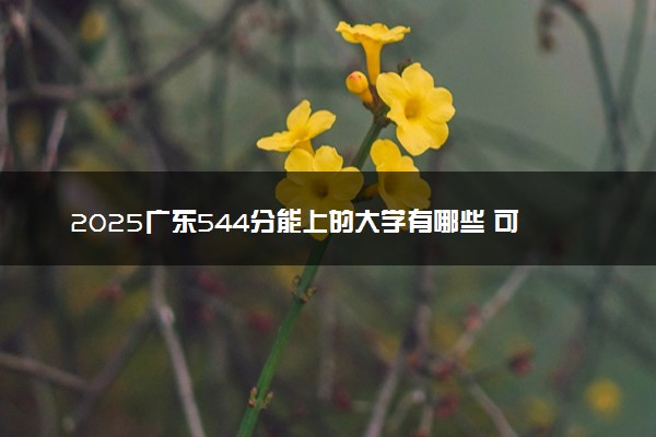 2025广东544分能上的大学有哪些 可以报考院校名单