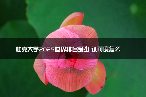 杜克大学2025世界排名多少 认可度怎么样