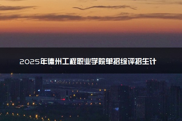 2025年德州工程职业学院单招综评招生计划及专业