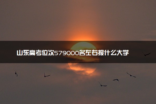 山东高考位次579000名左右报什么大学好（2025年参考）