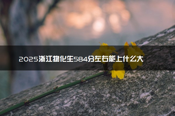 2025浙江物化生584分左右能上什么大学 可以报考的院校名单