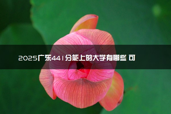 2025广东441分能上的大学有哪些 可以报考院校名单