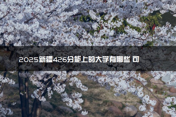 2025新疆426分能上的大学有哪些 可以报考院校名单