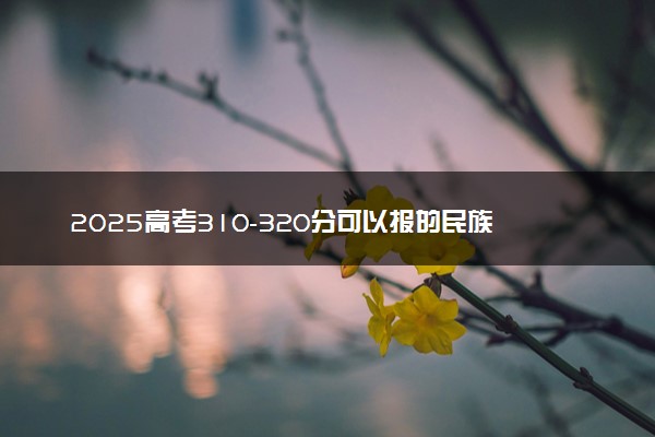 2025高考310-320分可以报的民族类大学有哪些