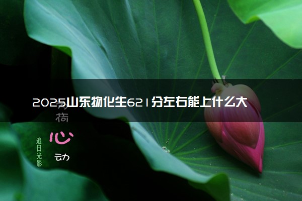 2025山东物化生621分左右能上什么大学 可以报考的院校名单