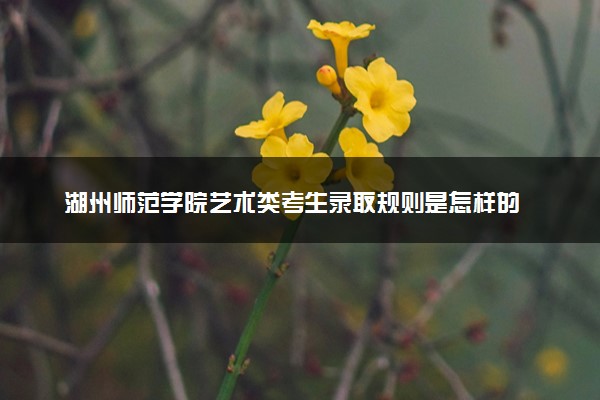 湖州师范学院艺术类考生录取规则是怎样的 有哪些要求