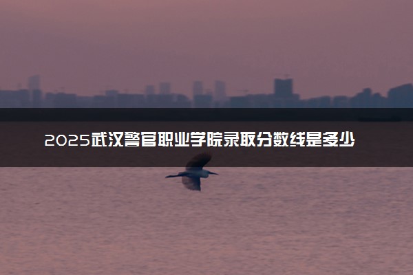 2025武汉警官职业学院录取分数线是多少 各省最低分数线汇总