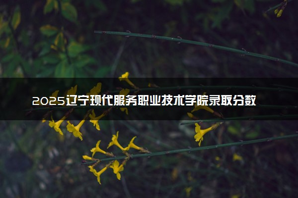 2025辽宁现代服务职业技术学院录取分数线是多少 各省最低分数线汇总