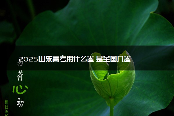 2025山东高考用什么卷 是全国几卷