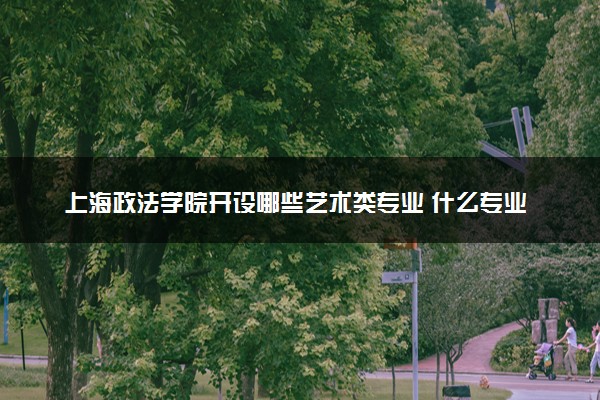 上海政法学院开设哪些艺术类专业 什么专业前景好