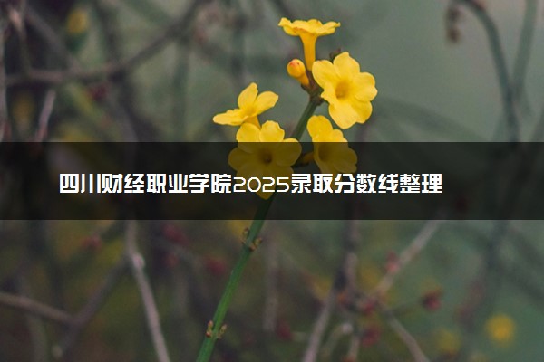 四川财经职业学院2025录取分数线整理 最低多少分可以考上
