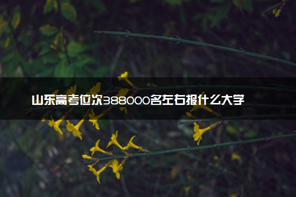 山东高考位次388000名左右报什么大学好（2025年参考）