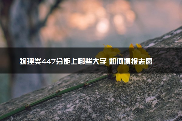 物理类447分能上哪些大学 如何填报志愿