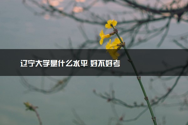 辽宁大学是什么水平 好不好考
