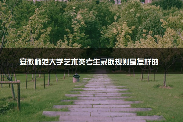 安徽师范大学艺术类考生录取规则是怎样的 有哪些要求