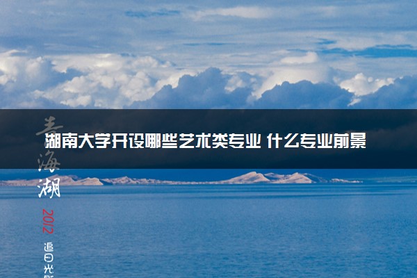 湖南大学开设哪些艺术类专业 什么专业前景好