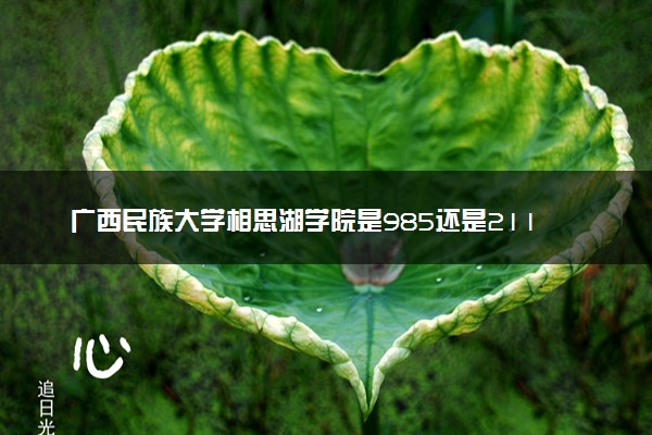 广西民族大学相思湖学院是985还是211 含金量怎么样