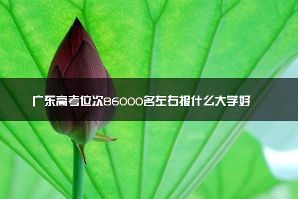 广东高考位次86000名左右报什么大学好（2025年参考）