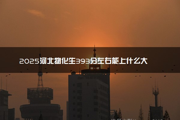 2025河北物化生393分左右能上什么大学 可以报考的院校名单