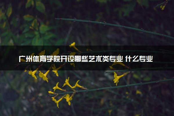 广州体育学院开设哪些艺术类专业 什么专业前景好