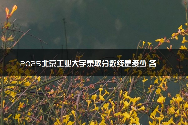 2025北京工业大学录取分数线是多少 各省最低分数线汇总