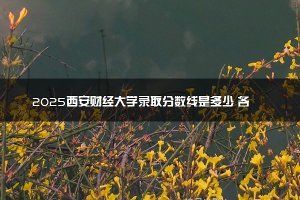 2025西安财经大学录取分数线是多少 各省最低分数线汇总