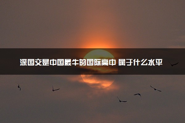 深国交是中国最牛的国际高中 属于什么水平