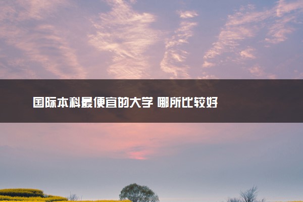 国际本科最便宜的大学 哪所比较好