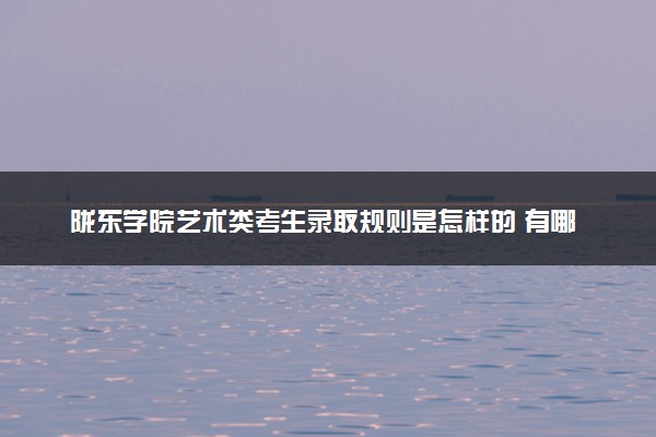 陇东学院艺术类考生录取规则是怎样的 有哪些要求