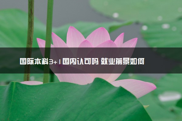国际本科3+1国内认可吗 就业前景如何